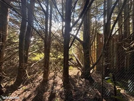 terrain 2 041 m² lunery