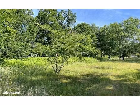 terrain 4 810 m² grayan et l hopital