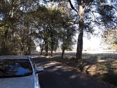 terrain boisé de 18705m²