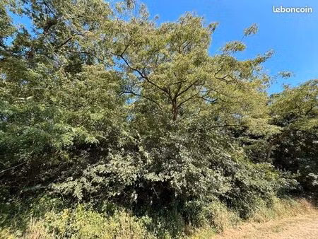 terrain 3 732 m² sorigny