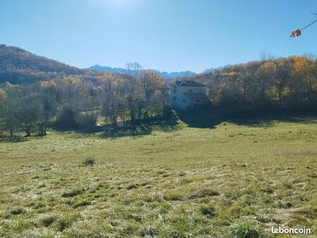 terrain(s) constructible(s) + bois