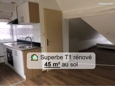 ? superbe t1 rénové – 45 m² au sol combles aménagés – centre de vieux charmont