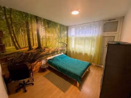 ulb/bois de la cambre