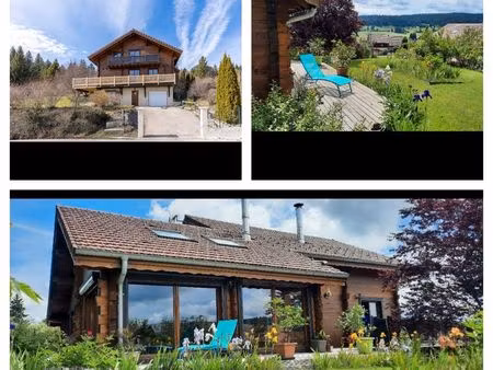 chalet en madrier avec espace bien-être