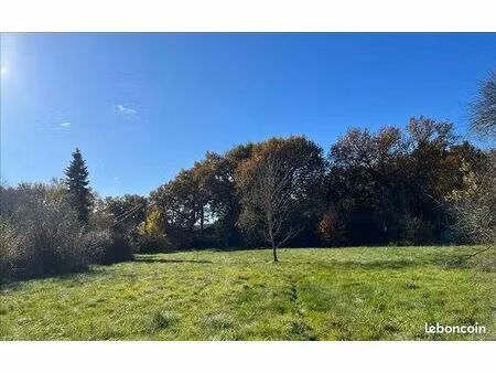 terrain 1 433 m² muret