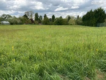 terrain 4 265 m² rille