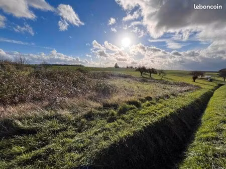 terrain 1 119 m² blere