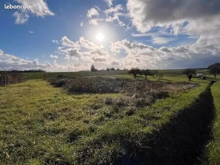 terrain 1 285 m² blere