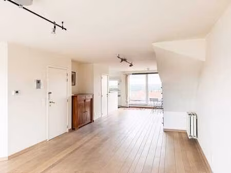 spacieux appartement en triplex avec deux terrasses et cave
