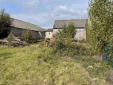 local divers 1300 m² plumieux