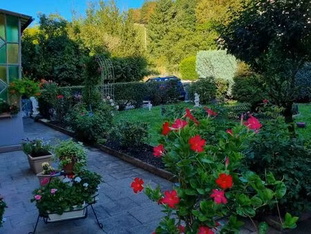 a louer joli f3 de 70 m2 - ste-marie-a/mines