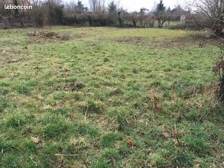 terrain constructible