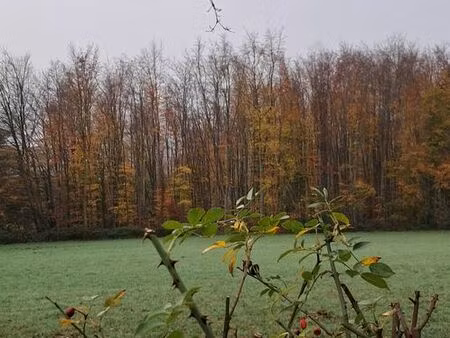 terrain constructible 887m2 à proximité de barentin  yvetot  le trait libre de constructeu