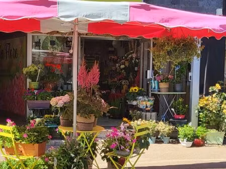 fonds de commerce  fleuriste