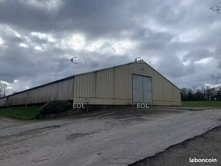 local industriel 900 m²
