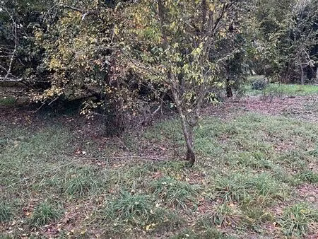 terrain constructible ombragé sur la commune de bou