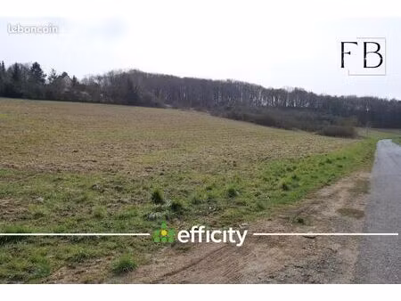 terrain 6 572 m² sainte genevieve