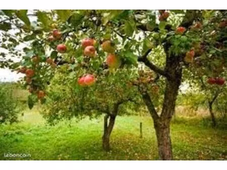 recherche terrain agricole