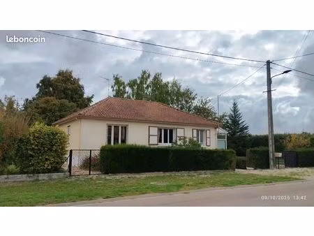 maison avec grand terrain