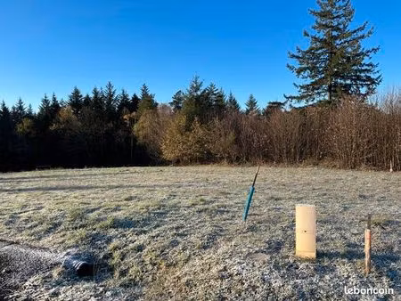 terrain 1 602 m² palazinges