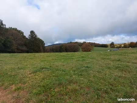 terrain 1 611 m² palazinges