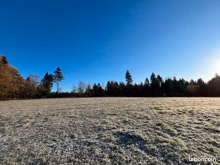 terrain 1 728 m² palazinges