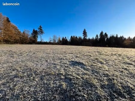 terrain 1 742 m² palazinges