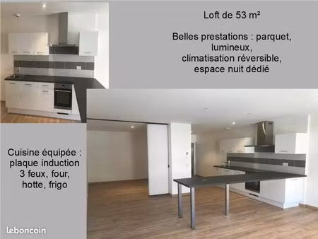 loue loft 53m²