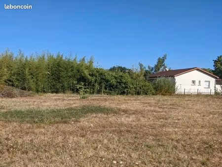 terrain 555 m² lavaur