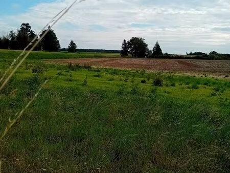 terrain constructible