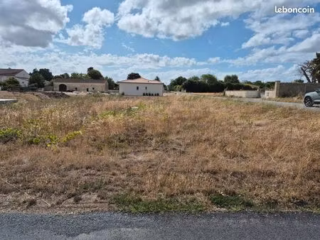 terrain constructible