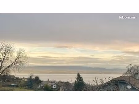 t3 de 62m² entièrement rénové - vue lac à neuvecelle