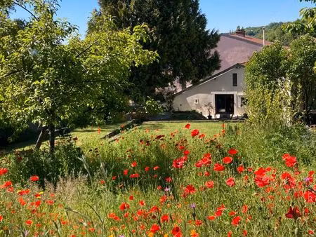 rare à laxou (proche nancy)