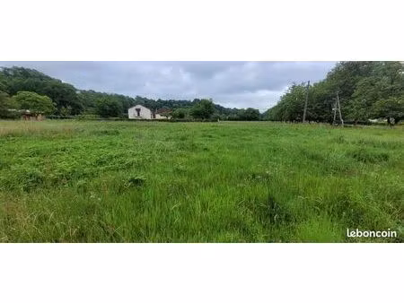 terrain 2 451 m² altillac