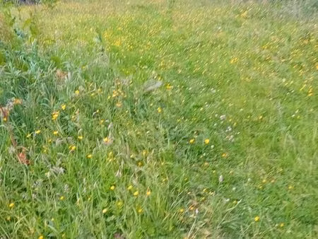 recherche terrain non constructible