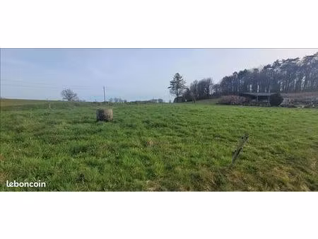 terrain 3 000 m² bassignac le bas