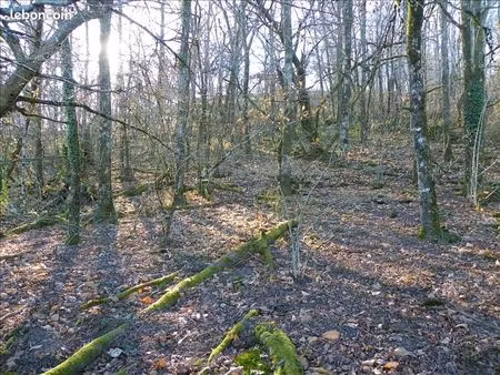 terrain 3 460 m² curemonte