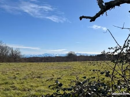 terrain 23 935 m² mirande