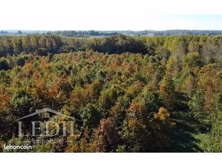 forêt 50 544 m² cazaubon