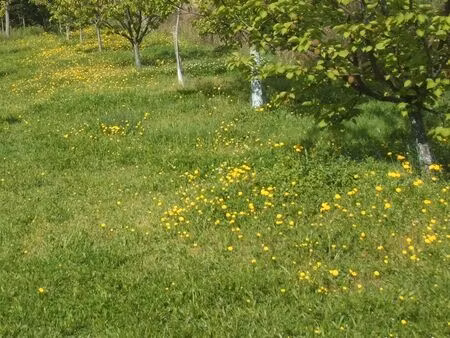 terrain agricole ou de loisirs sur 5600 m²