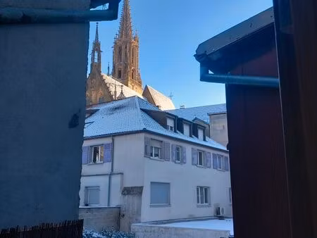 grand duplex rénové centre ville