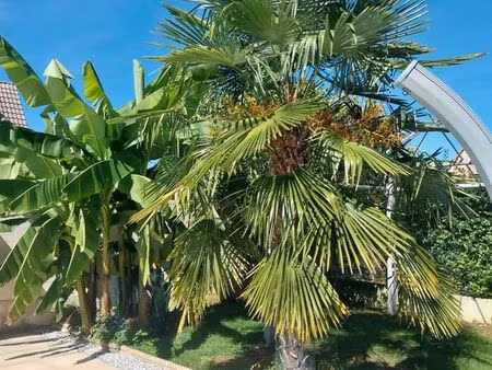maison à vendre jebsheim