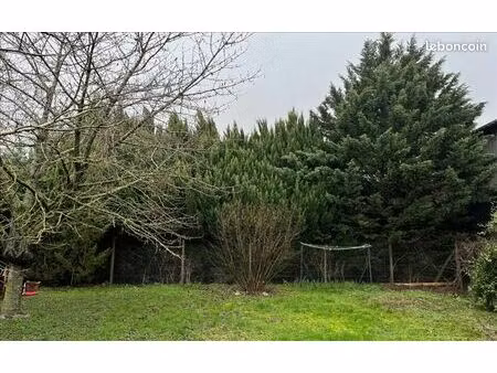 terrain 348 m² maule