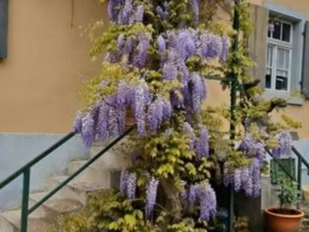 vends appartement 4 pièces