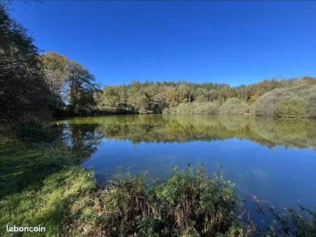 terrain 21 961 m² saint goussaud