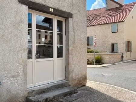 local professionnel de 54 m² à louer – rdc  immeuble à gemeaux (21120)