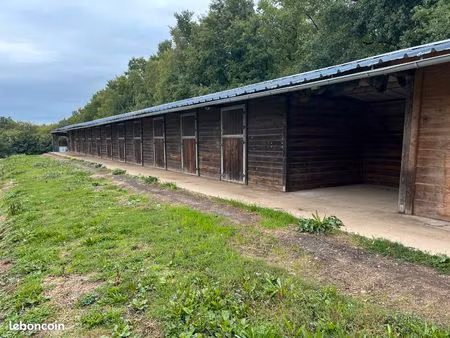 bâtiment agricole boxes a chevaux avec terrain