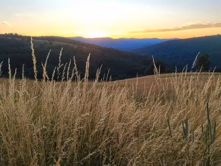 rechercher terrain verger