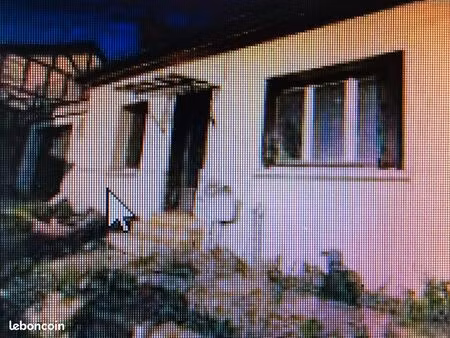 maison avec garage et terrain