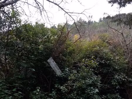 terrain en friche agricole